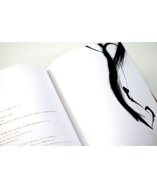 sachiyo kaneko's art book with 4 short fantasy novels.